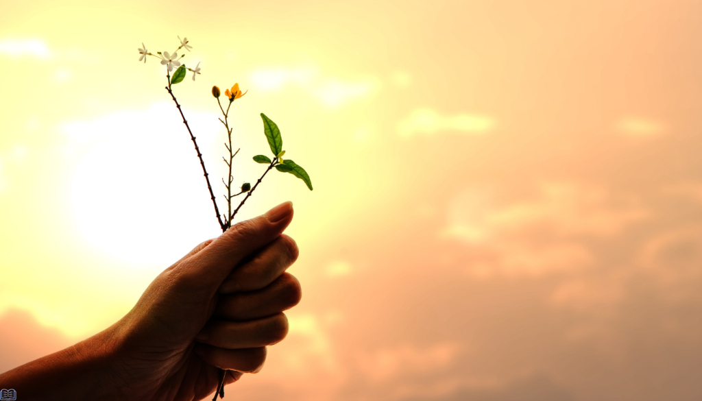 Wdzięczność… czym jest?